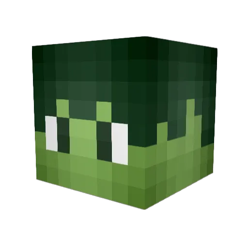 XxEndOfTheVoidxX Minecraft avatar head, 3D render