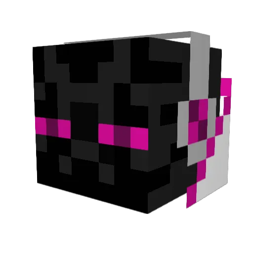 XxEnderGamerYTxX Minecraft avatar head, 3D render
