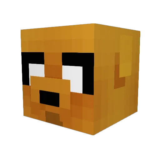 XxExtremeGamerxX Minecraft avatar head, 3D render