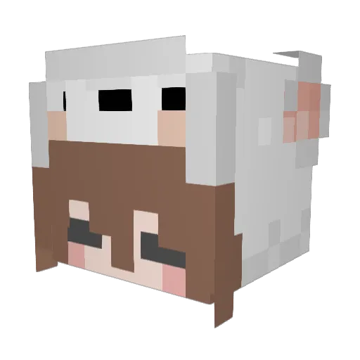 XxFatBunnyxX Minecraft avatar head, 3D render