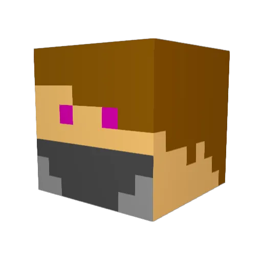 XxFeeblexX Minecraft avatar head, 3D render
