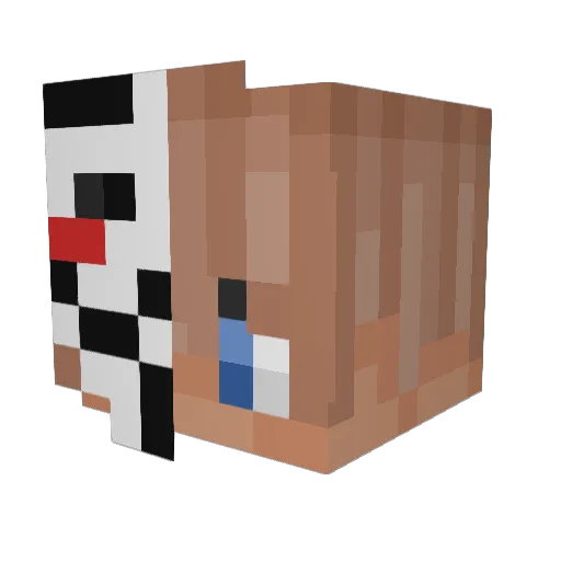 XxFoggxX Minecraft avatar head, 3D render