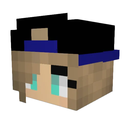 XxFoxKitxX Minecraft avatar head, 3D render