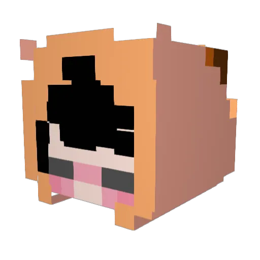 XxFoxSenpaixX Minecraft avatar head, 3D render