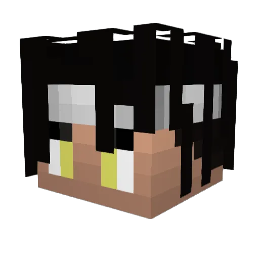 XxFuturexX Minecraft avatar head, 3D render