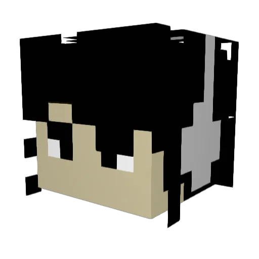 XxGamerGalaxy2X Minecraft avatar head, 3D render