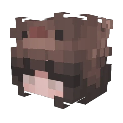 XxGummywormsXx Minecraft avatar head, 3D render