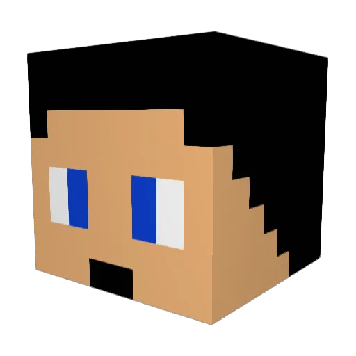 XxHackerkingxX Minecraft avatar head, 3D render