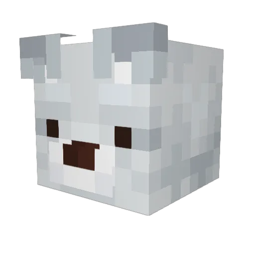 XxHailstorm12xX Minecraft avatar head, 3D render