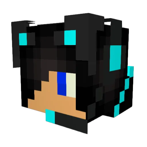 XxHawaiiBoixX Minecraft avatar head, 3D render