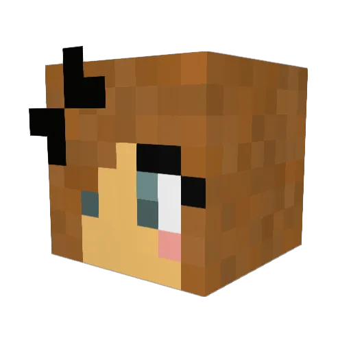 XxHello_WorldxX Minecraft avatar head, 3D render