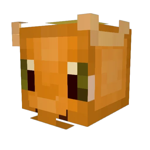 XxHoHimxX Minecraft avatar head, 3D render