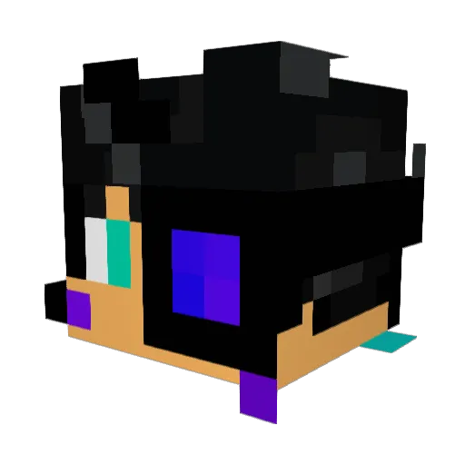 XxIHeartHatersxX Minecraft avatar head, 3D render