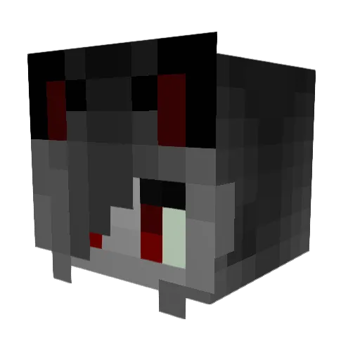 XxIRavenTailsIxX Minecraft avatar head, 3D render