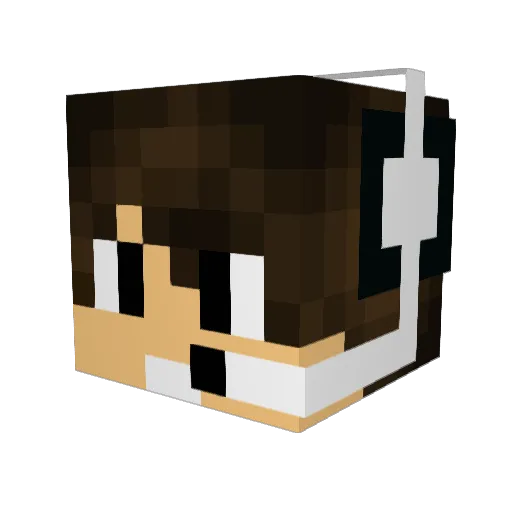 XxIsGamerxX Minecraft avatar head, 3D render