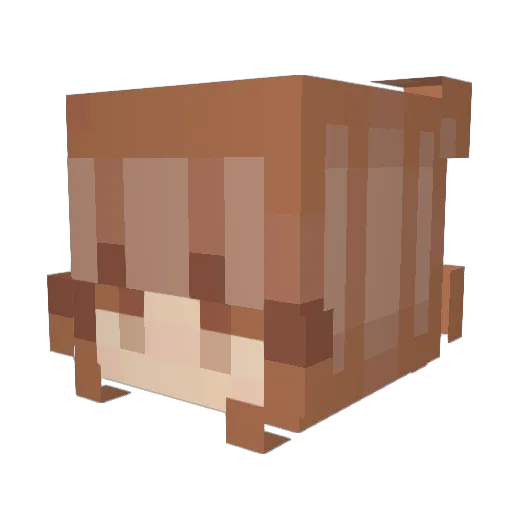 XxKailxX0 Minecraft avatar head, 3D render