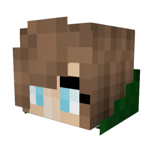 XxKarterxX Minecraft avatar head, 3D render