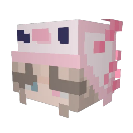 XxKillerBabexX Minecraft avatar head, 3D render