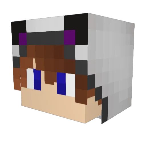 XxKittyCanPvPxX Minecraft avatar head, 3D render