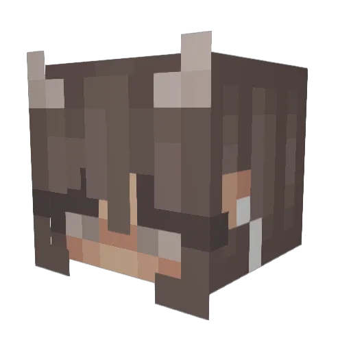 XxKyndraxX Minecraft avatar head, 3D render