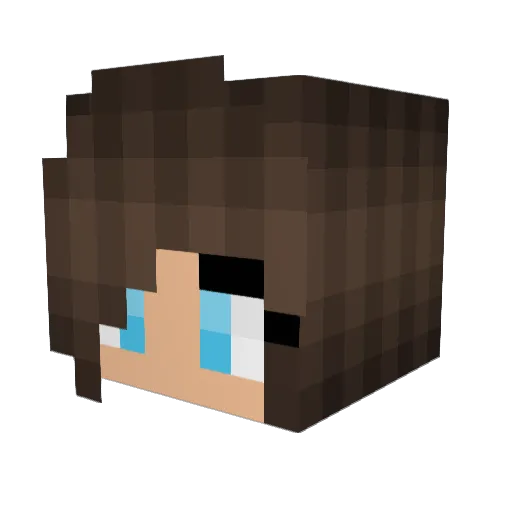 XxLittleBluexX Minecraft avatar head, 3D render
