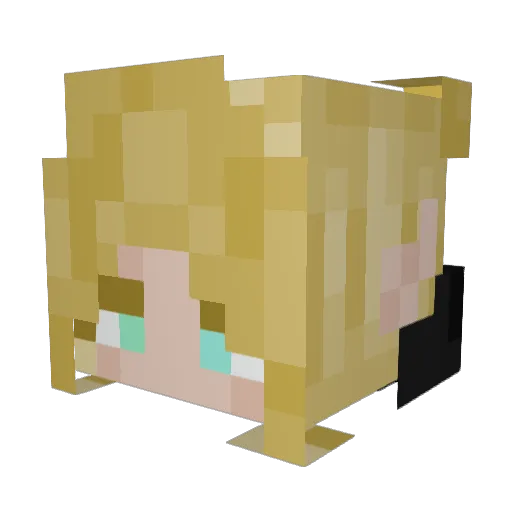 XxLunaaaaaarXx Minecraft avatar head, 3D render