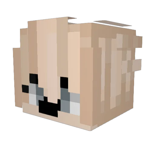 XxMRwiikixx Minecraft avatar head, 3D render