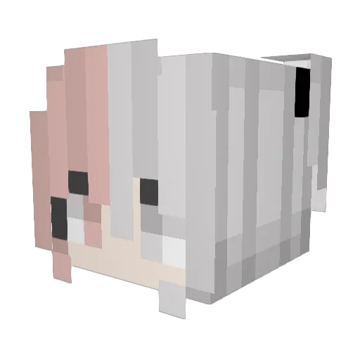 XxMarirafaxX Minecraft avatar head, 3D render