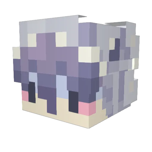 XxMarsGamerxX Minecraft avatar head, 3D render