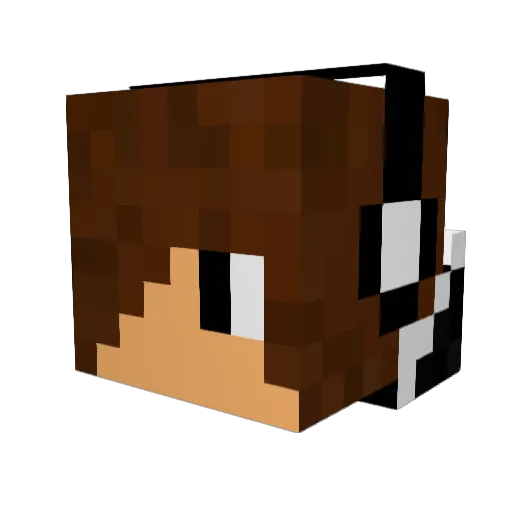 XxMester Minecraft avatar head, 3D render