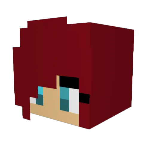 XxMineCraftersxX Minecraft avatar head, 3D render