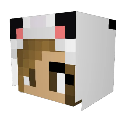 XxOBEYxX7 Minecraft avatar head, 3D render