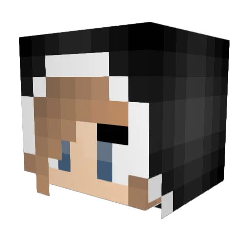 XxOLAxX Minecraft avatar head, 3D render