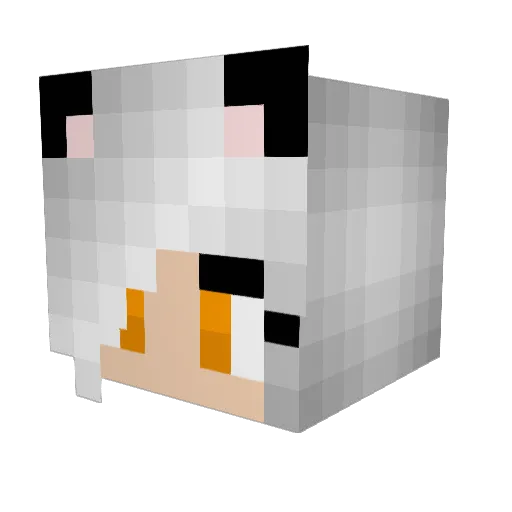 XxPORTALxX Minecraft avatar head, 3D render