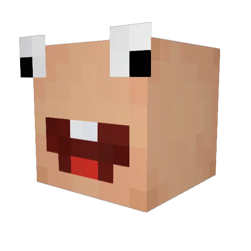 XxPRALKAxX Minecraft avatar head, 3D render