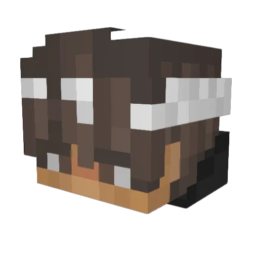 XxPacioxX Minecraft avatar head, 3D render