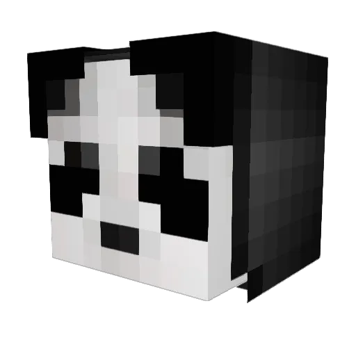 XxPanderskillxX Minecraft avatar head, 3D render