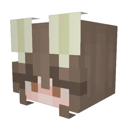 XxPikachuworldXx Minecraft avatar head, 3D render