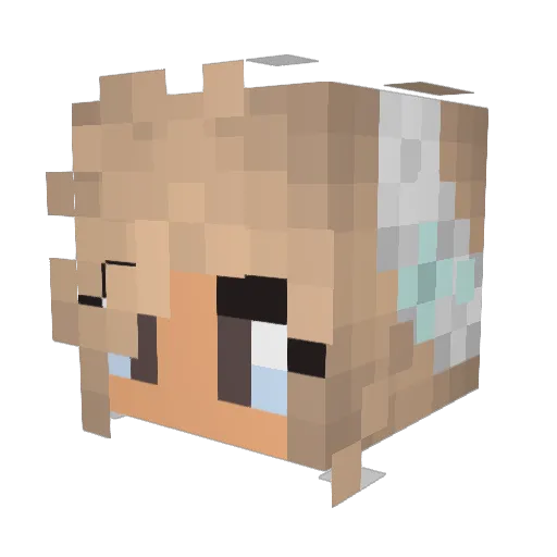 XxPinkPuppyXx Minecraft avatar head, 3D render