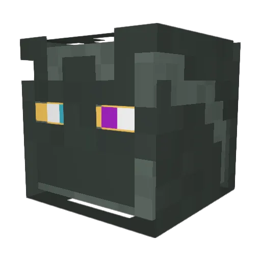 XxPokeAssassinxX Minecraft avatar head, 3D render