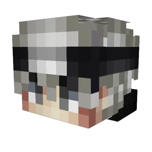 XxPro_PvPxX Minecraft avatar head, 3D render
