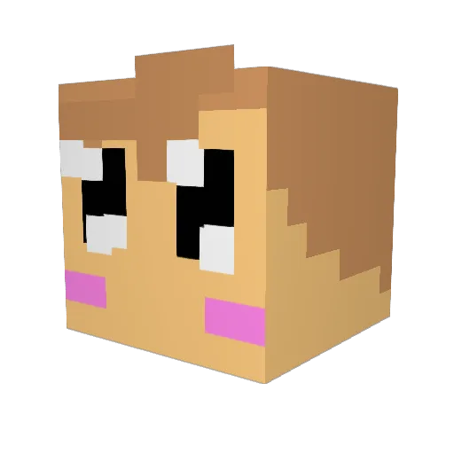 XxPujolet_OriXx Minecraft avatar head, 3D render
