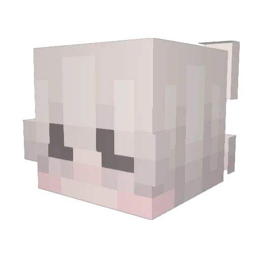XxR0bin Minecraft avatar head, 3D render