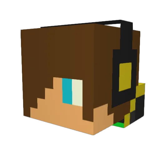 XxREECEMANxX Minecraft avatar head, 3D render
