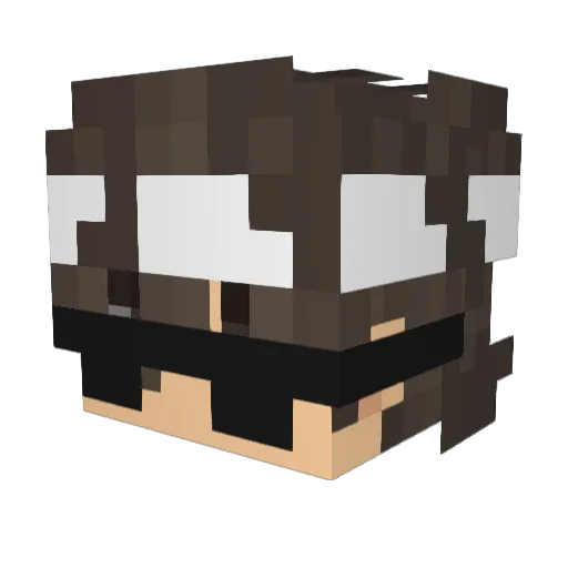 XxReFoRmEdPxX Minecraft avatar head, 3D render