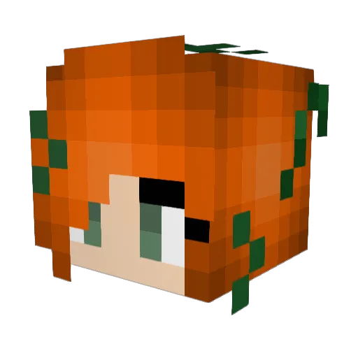 XxRedSky0203xX Minecraft avatar head, 3D render