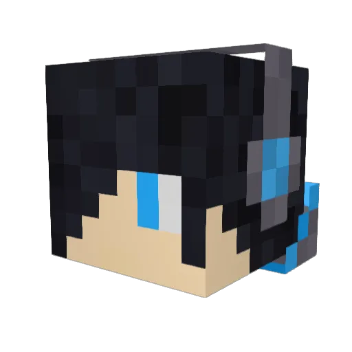 XxRoidRage42xX Minecraft avatar head, 3D render