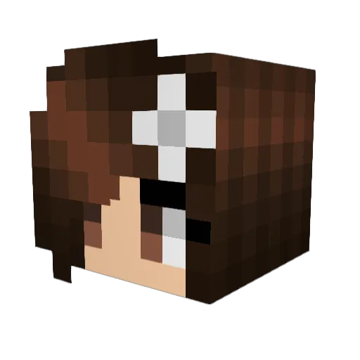 XxRushLaxX Minecraft avatar head, 3D render