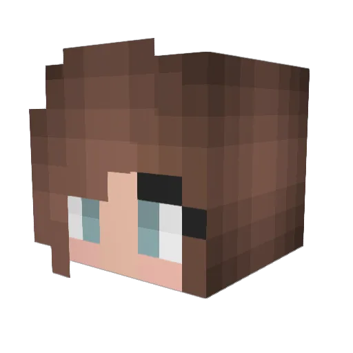 XxSHIELDxX Minecraft avatar head, 3D render