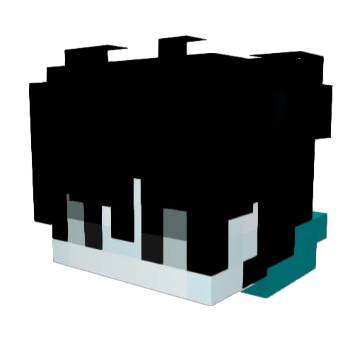 XxSN1PESxX Minecraft avatar head, 3D render